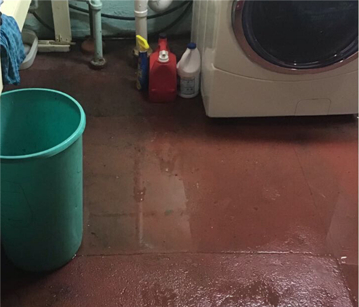 Water on the cement flooring of a laundry room.