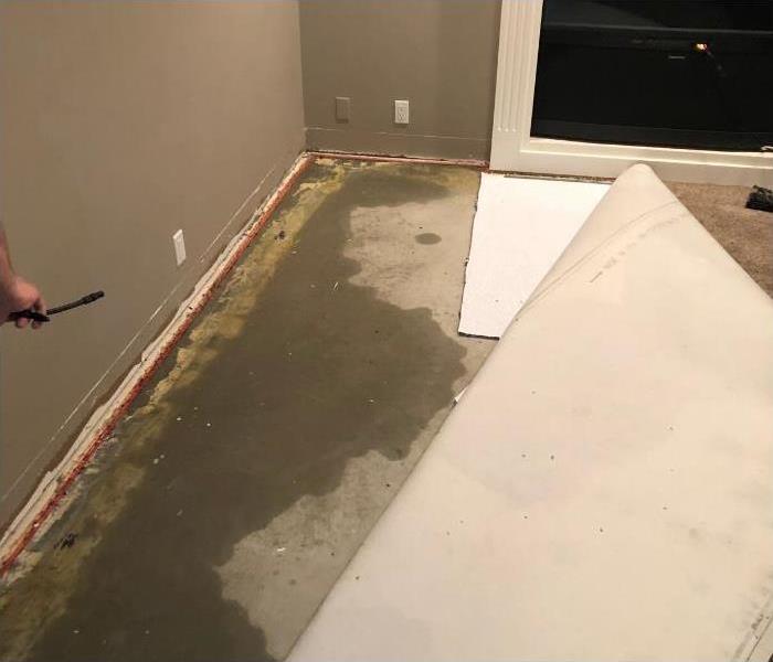 Corner of a basement with water stains on the cement and carpet pulled around it.